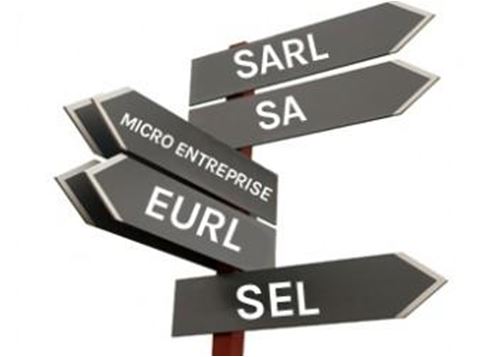 Pourquoi choisir une SASU plutôt qu’une EURL ?
